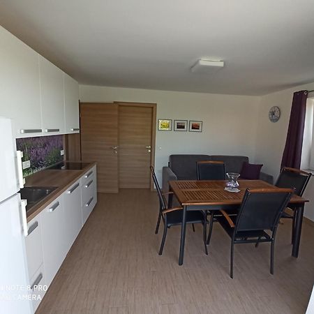 Summer Delight Apartments Savudrija Buitenkant foto